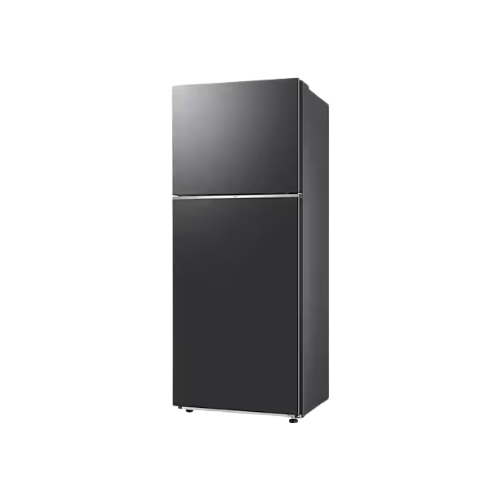 2-D 393L / All Around Cooling / Digital Inverter (RT38CG6020B1ST)